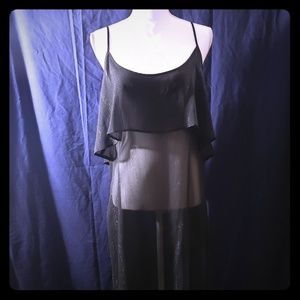 Sofia Vergara Sheer Dress